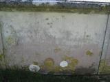 image of grave number 448293